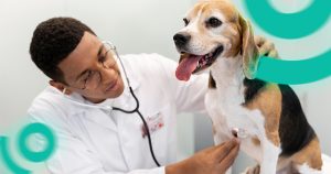 Como gerir pet shop e veterinária: profissional atendendo cachorro com sistema de gestão Onebiz Pet ao fundo